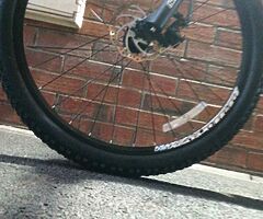 2020 carrera valour - Image 4/7