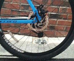 2020 carrera valour - Image 5/7