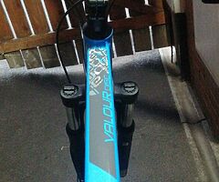 2020 carrera valour - Image 6/7