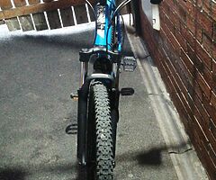 2020 carrera valour - Image 7/7