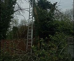 Garden work. - Image 3/5