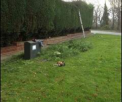 Garden work. - Image 5/5