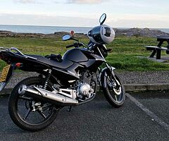 2014 Yamaha YBR - Image 3/5