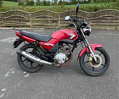 2009 Yamaha YBR - Image 5/5