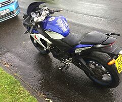 2014 WK Bikes Sp 125 - Image 4/4