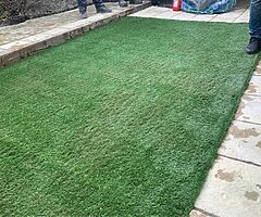 Grass - Image 6/8