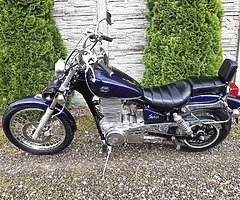 Suzuki Savage 650 - Image 6/10