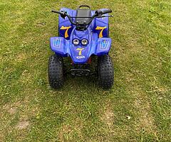 2008 Quadzilla Buzz