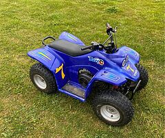 2008 Quadzilla Buzz