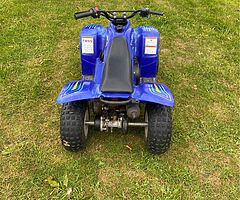 2008 Quadzilla Buzz - Image 3/4