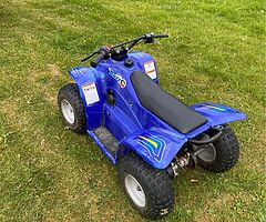 2008 Quadzilla Buzz - Image 4/4