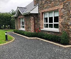 Box Hedging