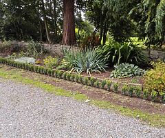 Box Hedging - Image 3/9