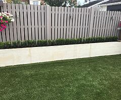 Box Hedging - Image 4/9