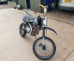 2015 Stomp 140cc Big Wheel