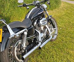 2005 Harley-Davidson Sportster 1200