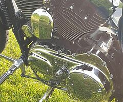 2005 Harley-Davidson Sportster 1200 - Image 8/10