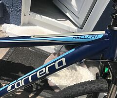 2022 A.P.C Motor Company Wild Card