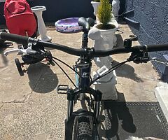 2022 A.P.C Motor Company Wild Card - Image 6/8