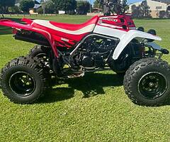 Yamaha  banshee - Image 4/10