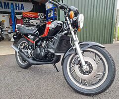 1981 Yamaha RD250LC