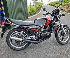 1981 Yamaha RD250LC - Image 7/7