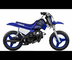 2020 Yamaha PW