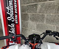 2021 Kayo Raging Bull 150 - Image 4/6