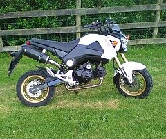Honda msx 125 grom
