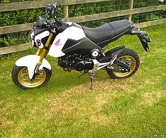 Honda msx 125 grom - Image 3/3