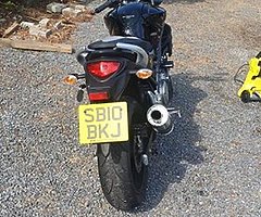 2010 Suzuki Sfv 650 Gladius