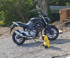 2010 Suzuki Sfv 650 Gladius
