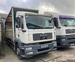 All trucks needed for exporting - Image 10/10
