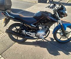 2017 Yamaha YBR - Image 3/6