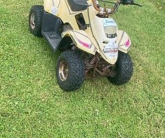 50cc junior kids quad