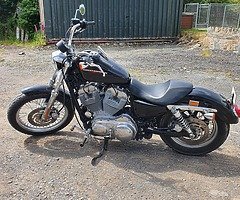 Harley Davidson 883 Sportster