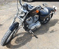 Harley Davidson 883 Sportster - Image 4/4