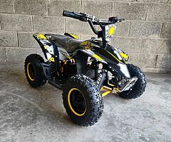 2021 Electric Quad 1000W 36V