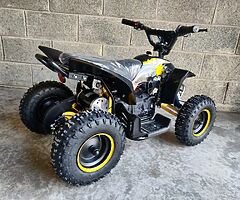 2021 Electric Quad 1000W 36V - Image 3/5