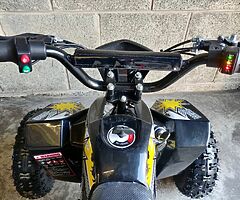 2021 Electric Quad 1000W 36V - Image 4/5