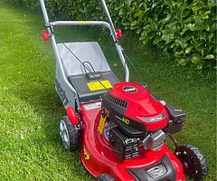 Hecht walk behind - Image 3/3