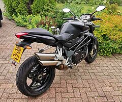 2011 MV Agusta Brutale