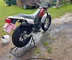 Yamaha TW 200 - Image 5/7