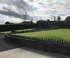 Box Hedging - Image 3/5