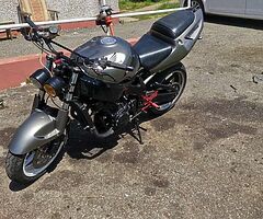 1997 Honda Fireblade 900rr - Image 4/6