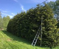 All Green Gardening services