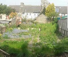 Garden Landscape