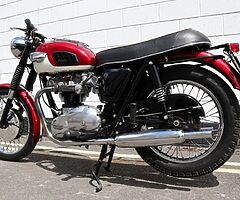 1967 Triumph Bonneville - Image 6/10