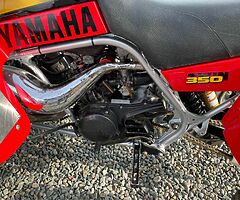 1999 Yamaha Banshee 350cc - Image 5/9