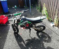 1901 Lifan Monkey 110